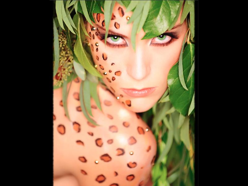 Makeup Artist Reno, NV. Makeup Pictures